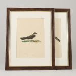 1754&nbsp;8177&nbsp;Grafiska blad